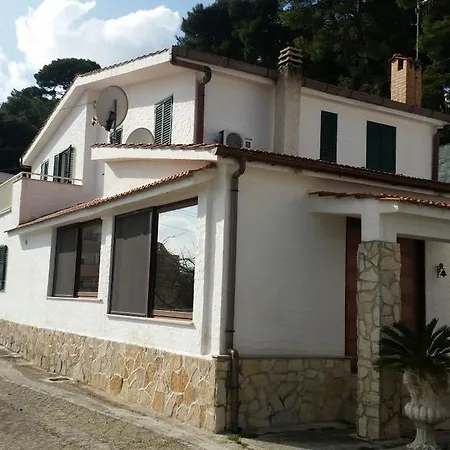 Collinetta *